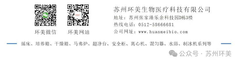 &#20048;&#40060;&#23448;&#26041;&#31471;&#32593;&#31449;&#30331;&#24405;&#20837;&#21475;&#45;&#20048;&#40060;&#108;&#101;&#121;&#117;&#40;&#20013;&#22269;&#41;